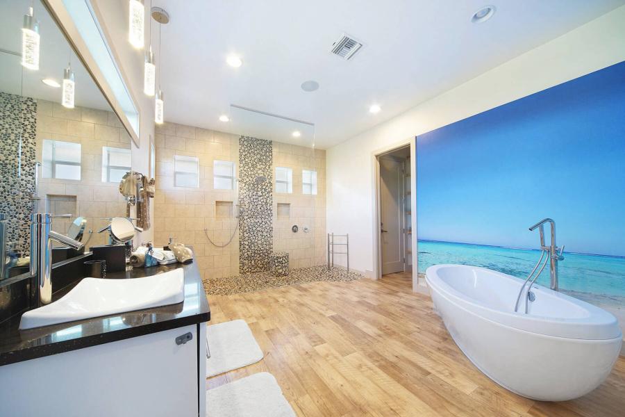 MLS_bh-2831_lg_pic66_1